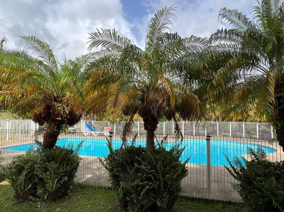 Kanoa Lodge Piscine Et Vue Mer Сент-Клод Екстер'єр фото