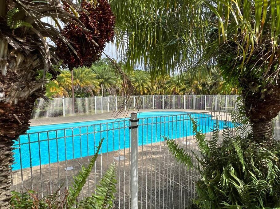 Kanoa Lodge Piscine Et Vue Mer Сент-Клод Екстер'єр фото